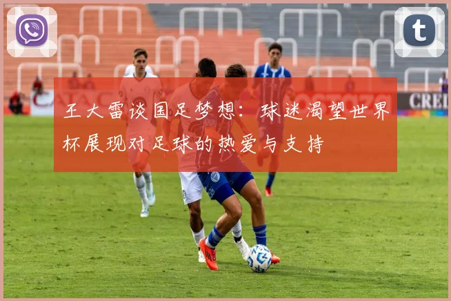 王大雷谈国足梦想：球迷渴望世界杯展现对足球的热爱与支持