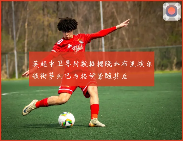 英超中卫零封数据揭晓加布里埃尔领衔萨利巴与格伊紧随其后