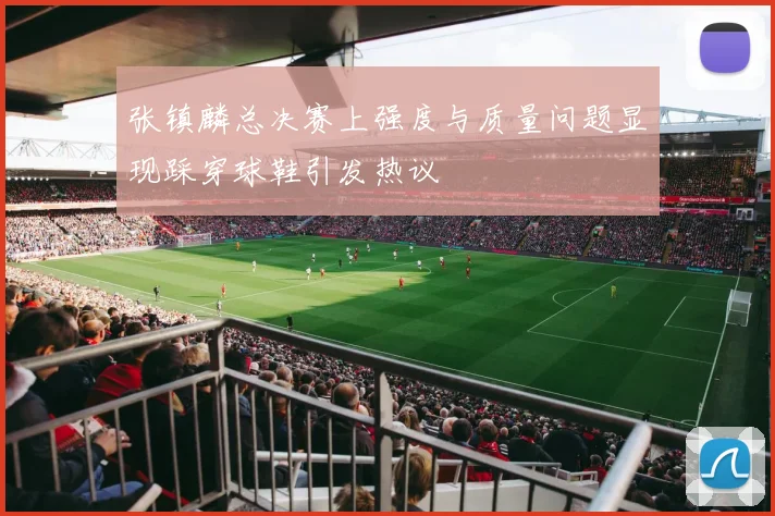 张镇麟总决赛上强度与质量问题显现踩穿球鞋引发热议