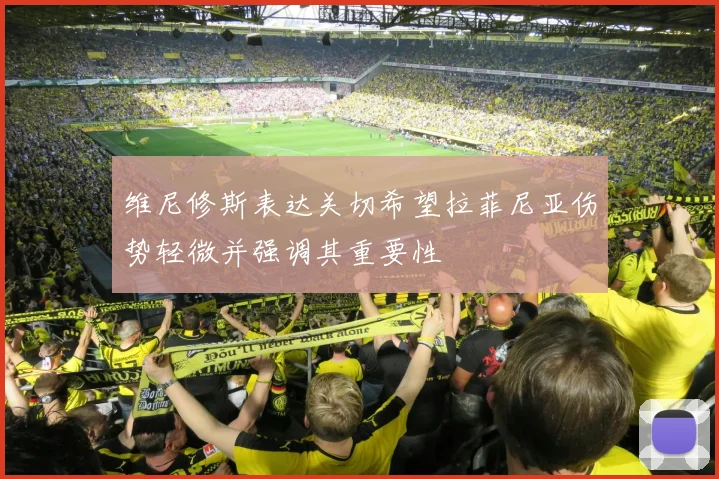 维尼修斯表达关切希望拉菲尼亚伤势轻微并强调其重要性