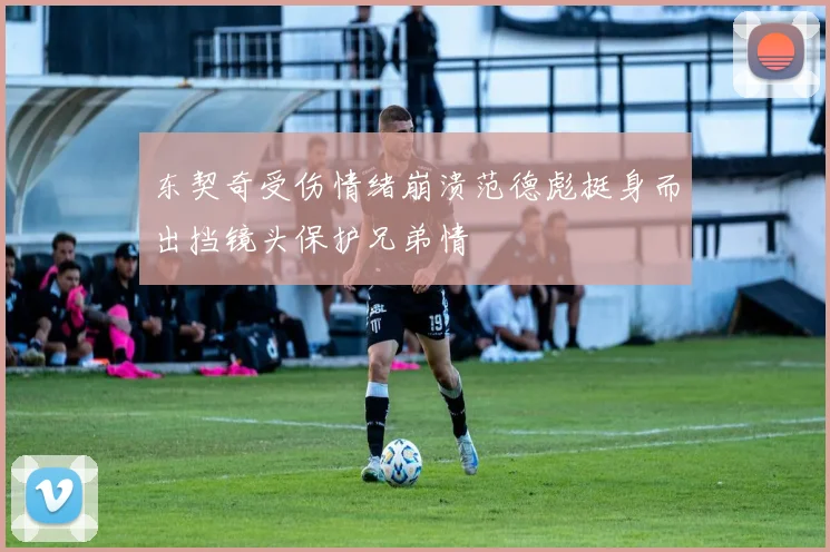 东契奇受伤情绪崩溃范德彪挺身而出挡镜头保护兄弟情